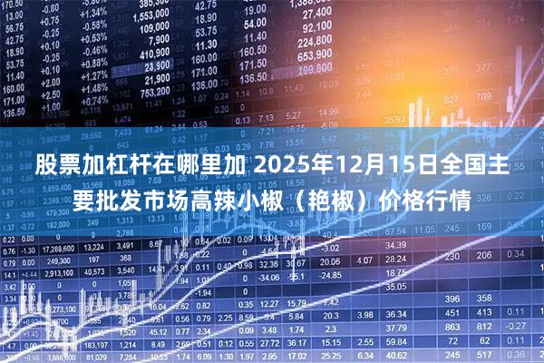 股票加杠杆在哪里加 2025年12月15日全国主要批发市场高辣小椒（艳椒）价格行情